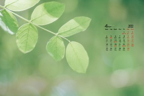 April 2022 green natural eye protection desktop calendar wallpaper