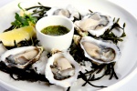 Seafood oyster material picture desktop wallpaper