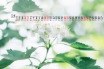 December 2021 green eye protection calendar desktop wallpaper