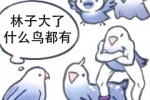 林子大了什么鸟都有