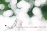 Elegant and fresh desktop calendar wallpaper for August 2021