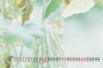 Simple and fresh desktop calendar wallpaper for December 2021