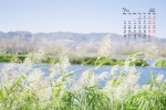 July 2021 summer grass green leaves eye protection desktop calendar wallpaper
