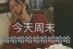 今天周末，哈哈哈