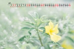 April 2022 simple still life style calendar wallpaper