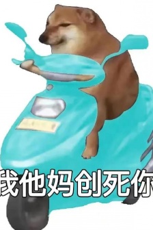 Dog driving a battery car and hitting someone emoticon pack