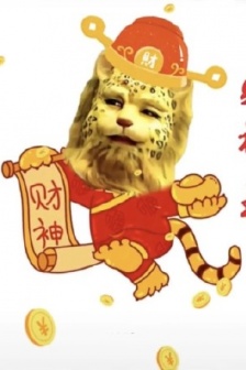 金钱豹虎年暴富表情包