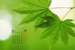 2022年4月路边绿植风景日历壁纸