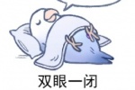 睡觉觉鸟
双眼一闭所有鸟事与我无关
