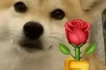 Dog holding rose emoticon
