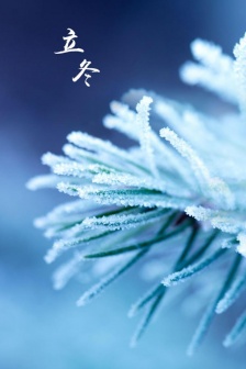 Lidong text with pictures HD mobile wallpaper