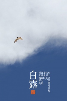 White dew beautiful pictures scenery mobile wallpaper