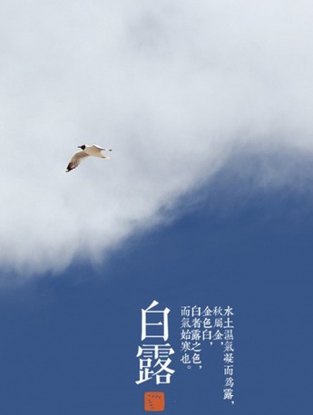 白露唯美圖片景手機壁紙