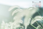 Eye protection natural scenery calendar wallpaper for March 2022