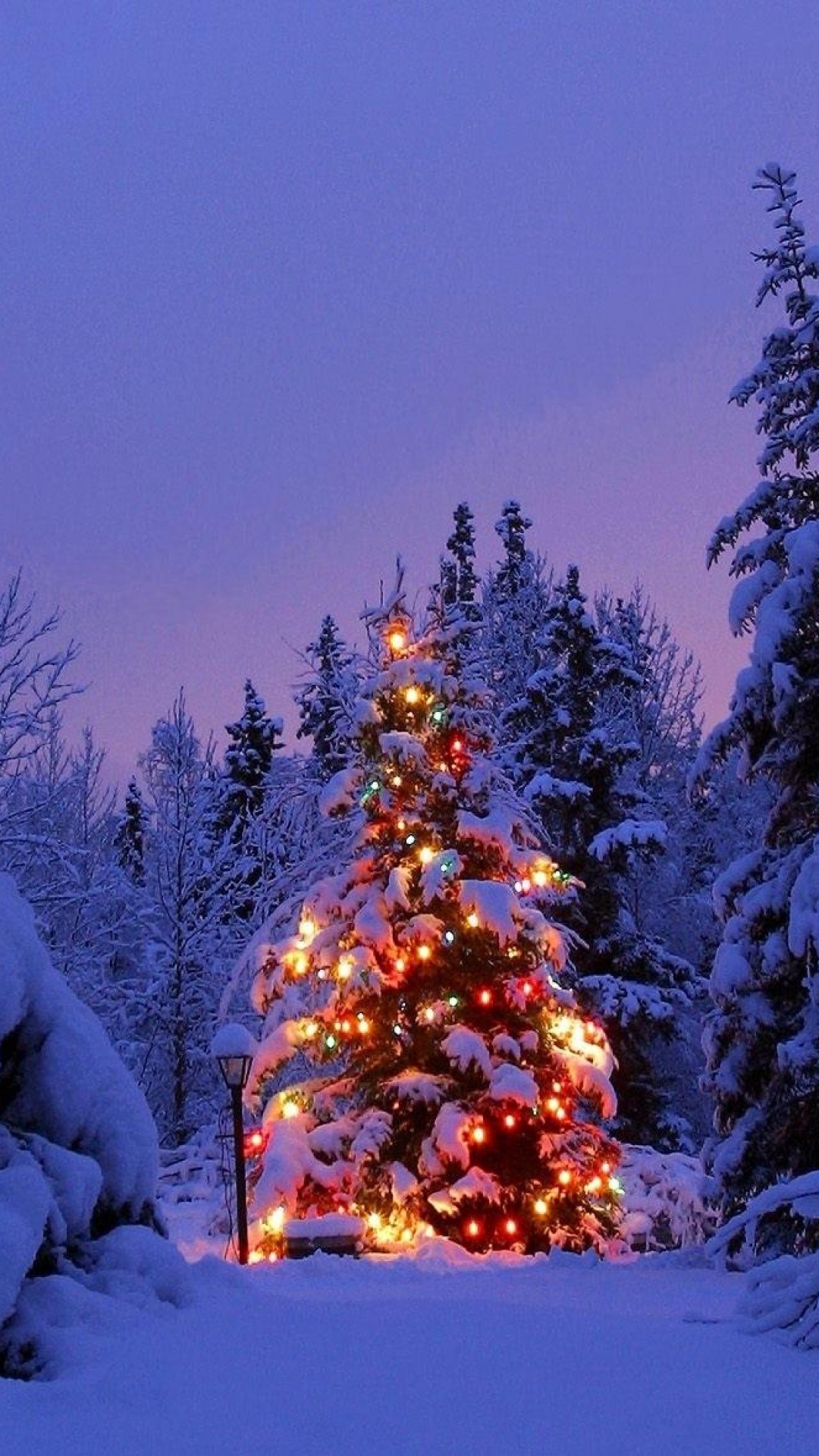 雪地里的圣诞树手机壁纸图片