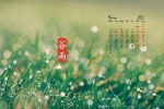 2020年5月穀雨清新綠色護眼日曆壁紙