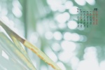 March 2022 elegant, simple and fresh desktop calendar wallpaper