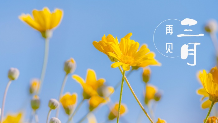 Goodbye March 2021 Beautiful Pictures Desktop Wallpaper