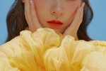 Zhang Yuxi plumeria retro photo mobile wallpaper