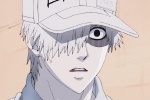 Working cells white blood cells avatar