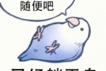已经躺平鸟