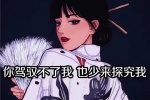 你驾驭不了我，也少来探究我