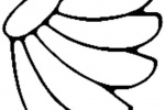 香蕉簡筆畫圖片