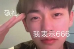 敬礼 我表示666