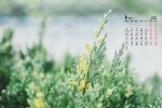 January 2022 small fresh green flower computer calendar wallpaper
