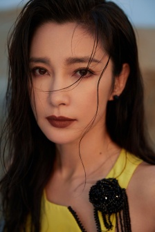 李冰冰第34屆金雞獎性感圖片