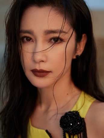 李冰冰第34届金鸡奖性感图片