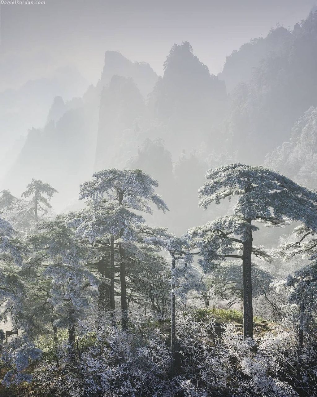 黄山雪景图片摄影