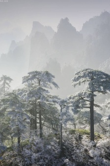 黄山雪景图片摄影