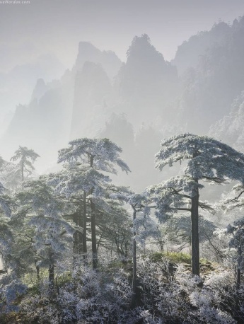 黄山雪景图片摄影