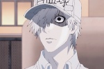 Working cells white blood cells avatar