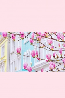 粉色花朵少女係手機壁紙