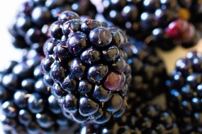 高清黑莓水果电脑壁纸