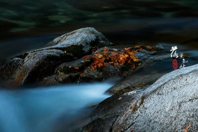 Beginning of Autumn Fall Leaves Beautiful Scenery Pictures Desktop Wallpaper