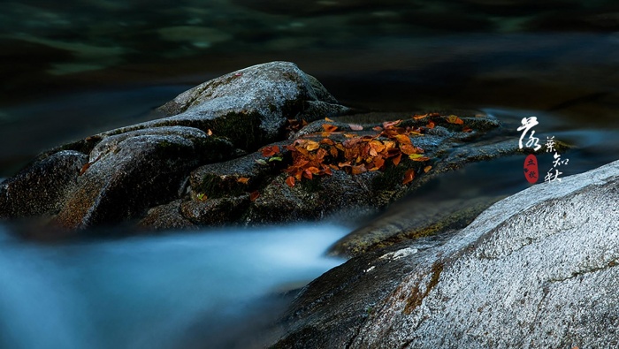 Beginning of Autumn Fall Leaves Beautiful Scenery Pictures Desktop Wallpaper