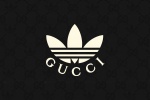 Adidas Gucci joint mobile wallpaper