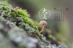 July 2021 summer desktop calendar wallpaper