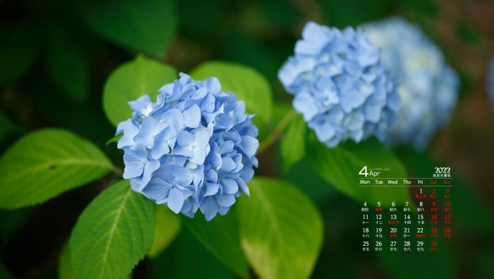 April 2022 HD Eye Protection Desktop Calendar Wallpaper