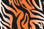 虎纹主题手机壁纸
