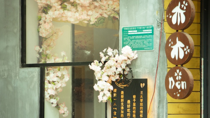 Small fresh still life flower pictures desktop wallpaper