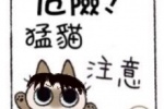 危险！萌猫注意
