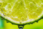 Summer lime picture material HD desktop wallpaper