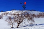 Solar term Xiaohan snow scene picture desktop wallpaper