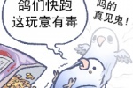 鸽们快跑这玩意有毒