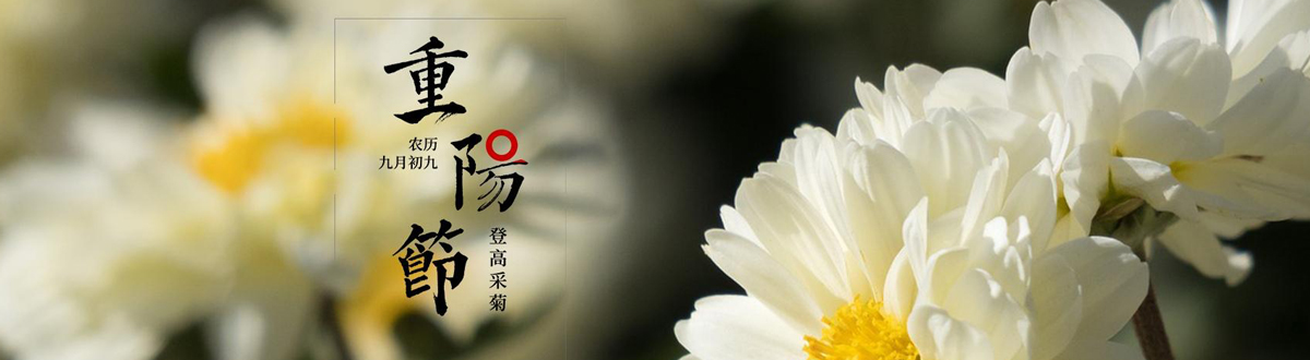 Double Ninth Festival mobile wallpaper