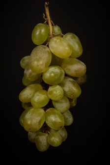 新鲜葡萄水果手机壁纸